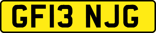 GF13NJG