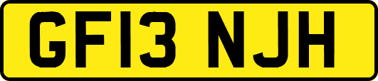 GF13NJH