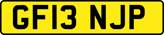 GF13NJP