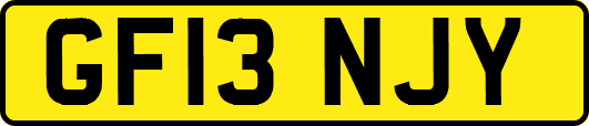 GF13NJY