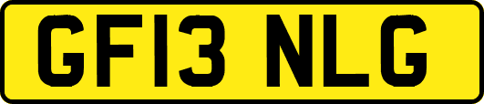 GF13NLG