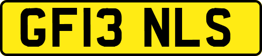 GF13NLS