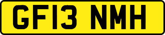 GF13NMH