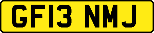 GF13NMJ
