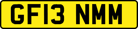 GF13NMM