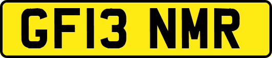 GF13NMR