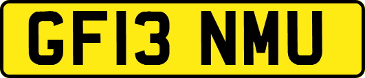 GF13NMU