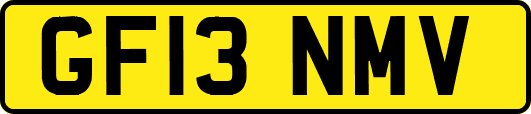 GF13NMV