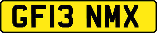 GF13NMX