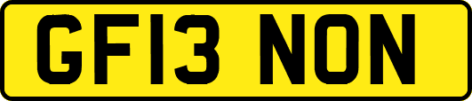 GF13NON