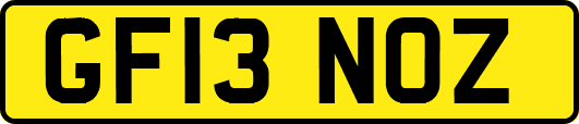GF13NOZ