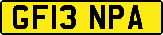 GF13NPA
