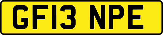 GF13NPE