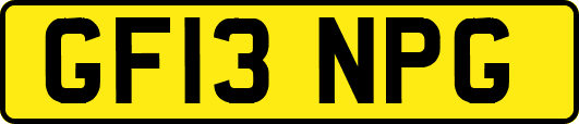 GF13NPG