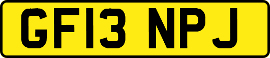 GF13NPJ
