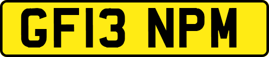 GF13NPM
