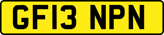 GF13NPN
