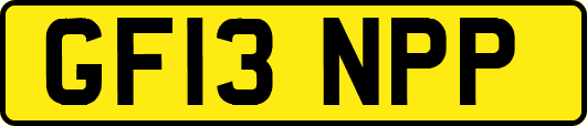 GF13NPP