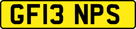 GF13NPS