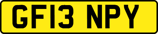 GF13NPY