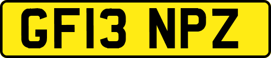 GF13NPZ