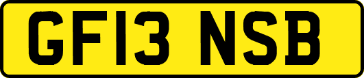 GF13NSB