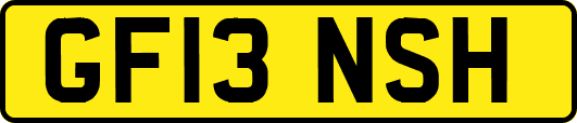 GF13NSH