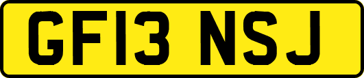 GF13NSJ