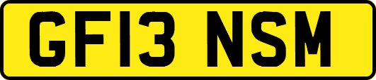 GF13NSM