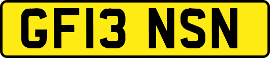 GF13NSN