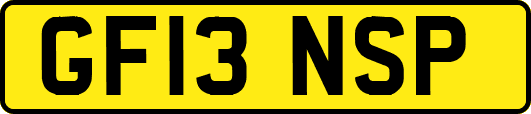 GF13NSP