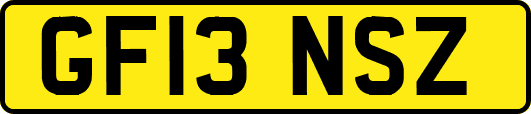 GF13NSZ