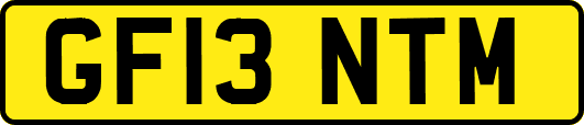 GF13NTM