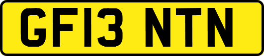 GF13NTN