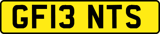 GF13NTS