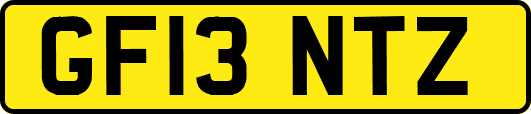 GF13NTZ