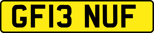 GF13NUF