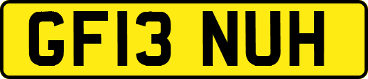 GF13NUH
