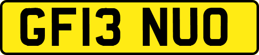GF13NUO