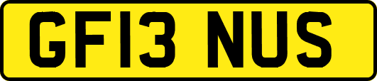 GF13NUS