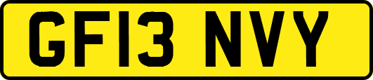 GF13NVY