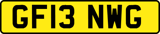 GF13NWG