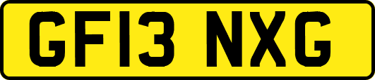 GF13NXG