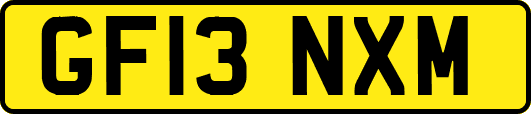 GF13NXM