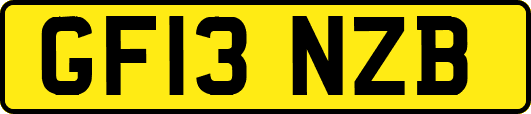 GF13NZB