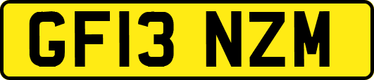 GF13NZM