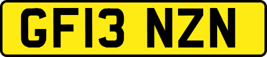 GF13NZN