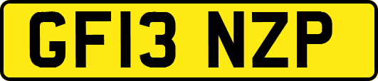 GF13NZP