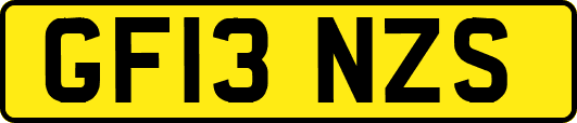 GF13NZS