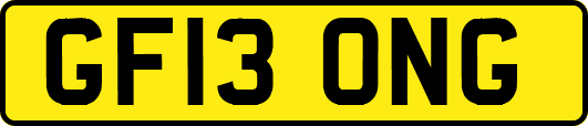 GF13ONG